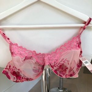 Gillian O’ Malley intimate beautiful bra